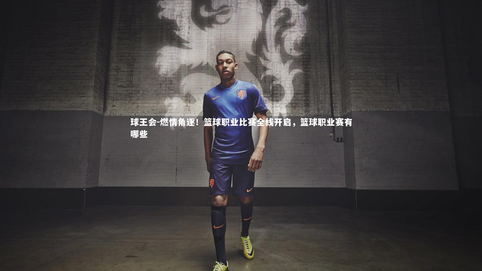 球王会-燃情角逐！篮球职业比赛全线开启，篮球职业赛有哪些