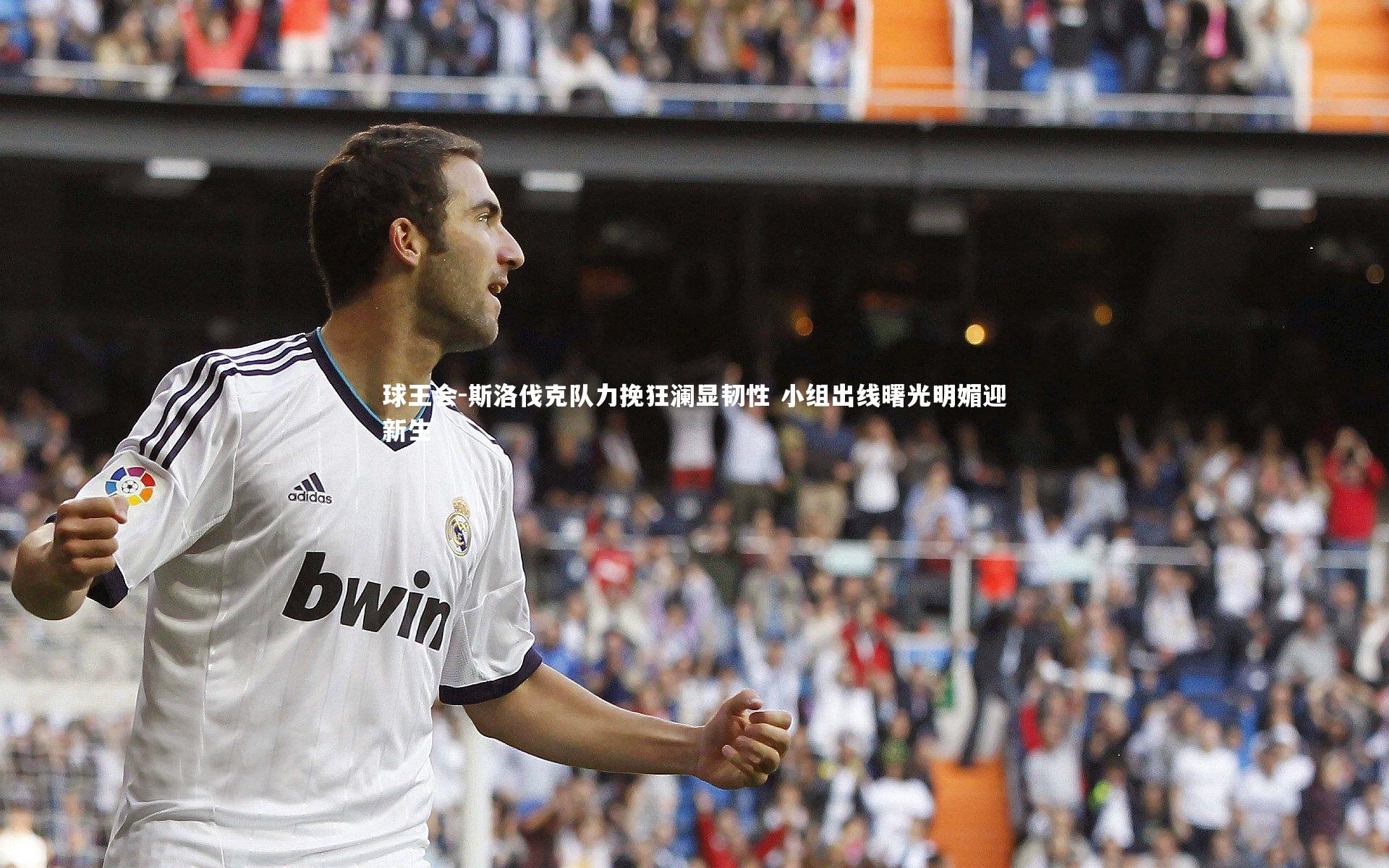 斯洛伐克队力挽狂澜显韧性 小组出线曙光明媚迎新生